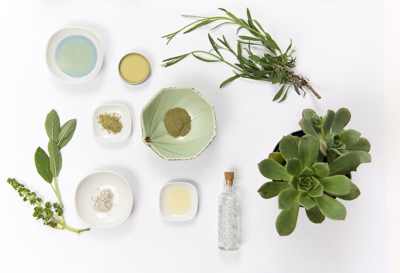 Holistic Health